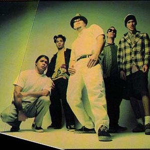 Фото Infectious Grooves