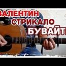Постер к песне Валентин Стрыкало - Бувайте