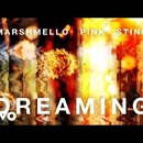 Постер к песне Marshmello - Dreaming